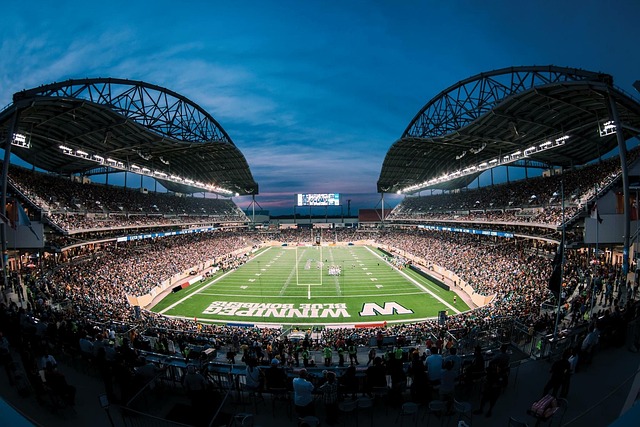 带来了巨大 带来了巨大