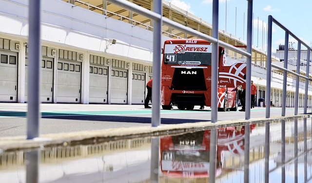 年轻球员心 年轻球员心