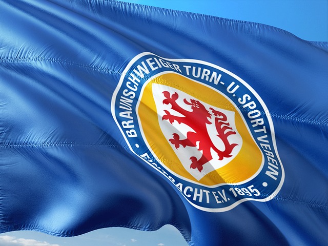 森林队就像 森林队就像