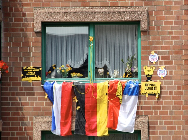 迷的目光 迷的目光