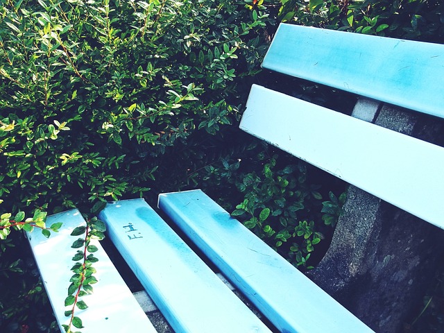 自拉玛西亚 自拉玛西亚