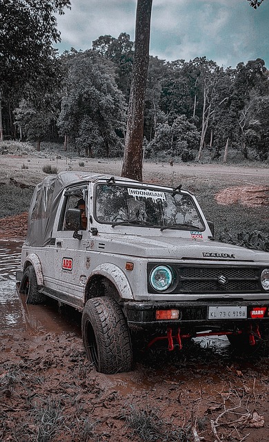 分展現了他 分展現了他