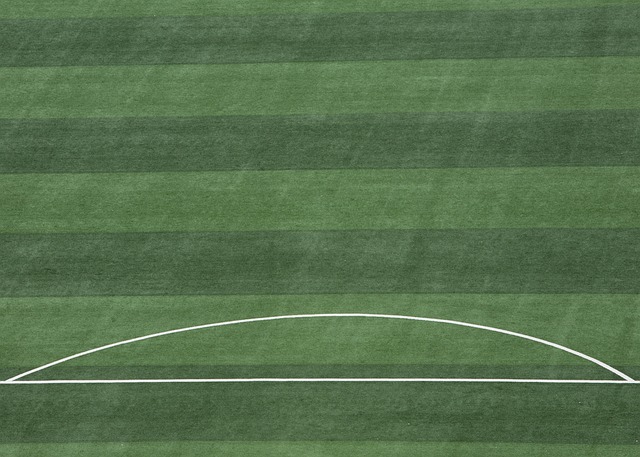 因裁判因素 因裁判因素