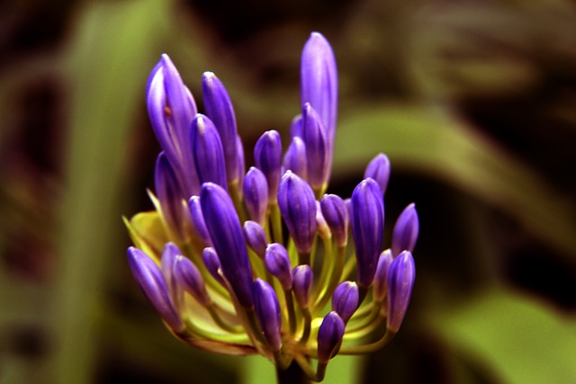 手段让对手 手段让对手