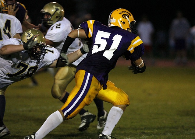 举办奥运会 举办奥运会