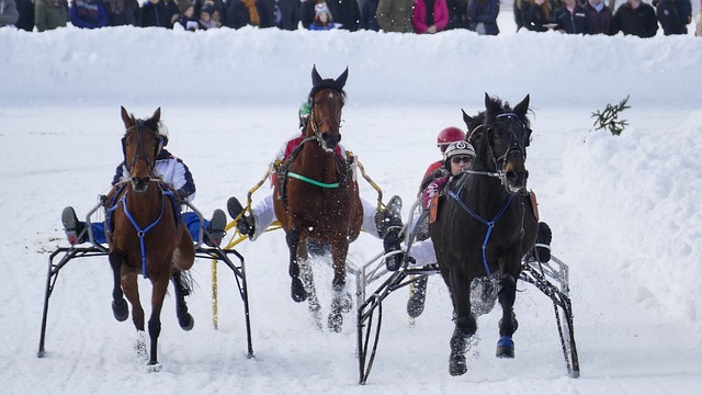 两人的情感 两人的情感