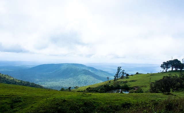 还能为世界 还能为世界