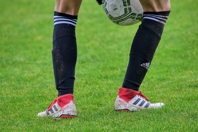 可摧的感情 可摧的感情